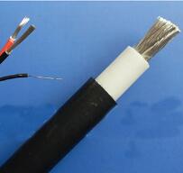 WDZ-DCK，WDZ-DCKP-125，DCEVM機車電纜